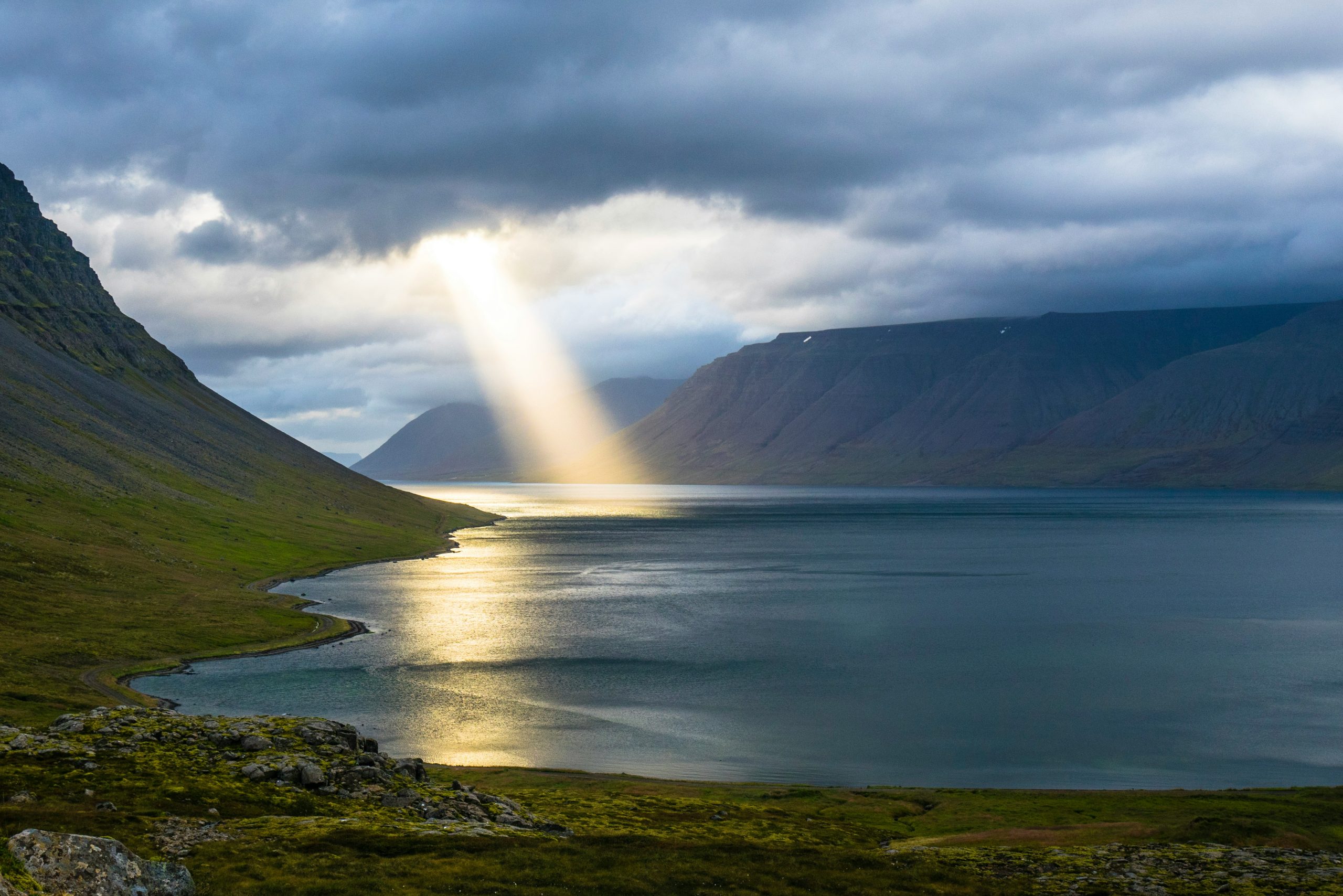Read more about the article Why Dharma, Not Just Religion?