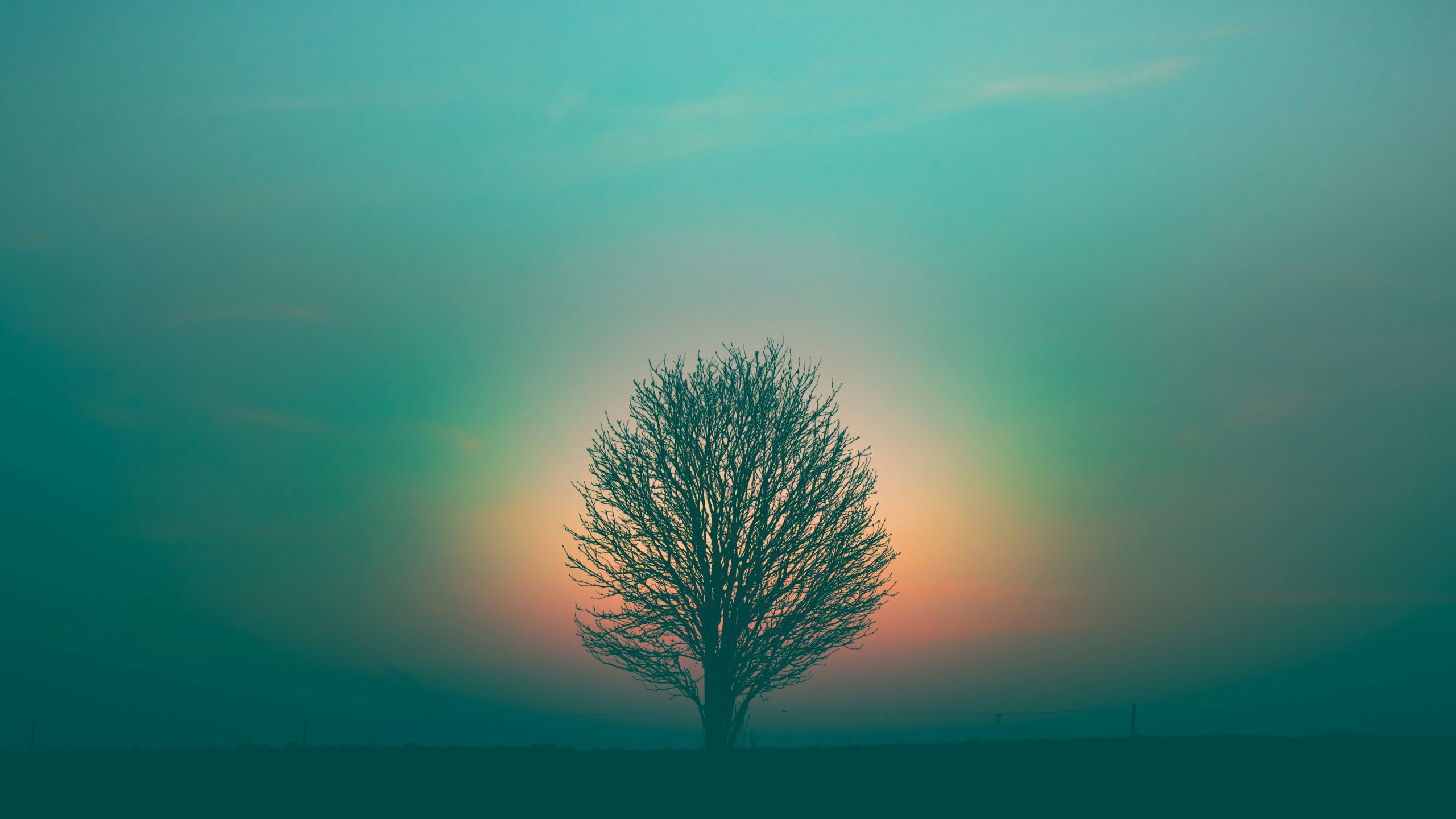 Read more about the article Festivals with Meaning